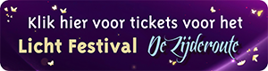 Knop licht Festival vierkant.jpg.png